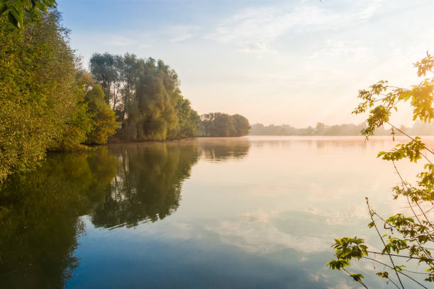 istock Pond with trees on a shores at sunrise 825472578