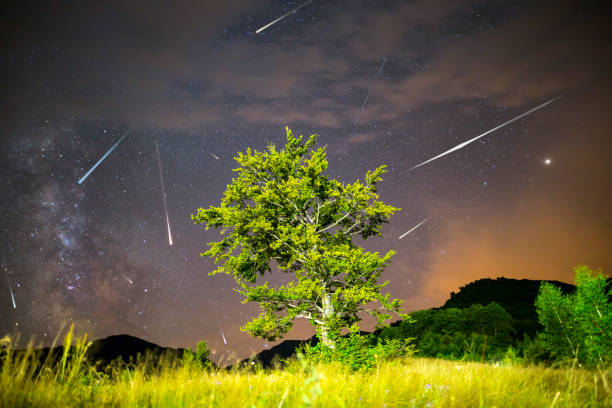 istock Green tree Milky way Meteor Shower 825472706