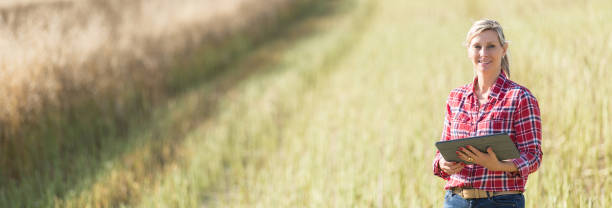istock female farmer managing harvest in a cereal field 825472756