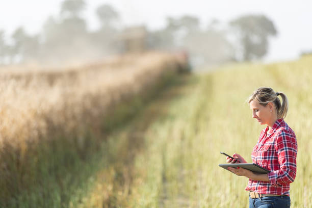istock female farmer managing harvest in a cereal field 825472776