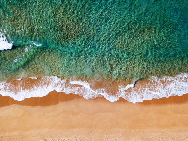 widok z lotu ptaka na australijską plażę bondi - manly beach sydney australia australia beach zdjęcia i obrazy z banku zdjęć