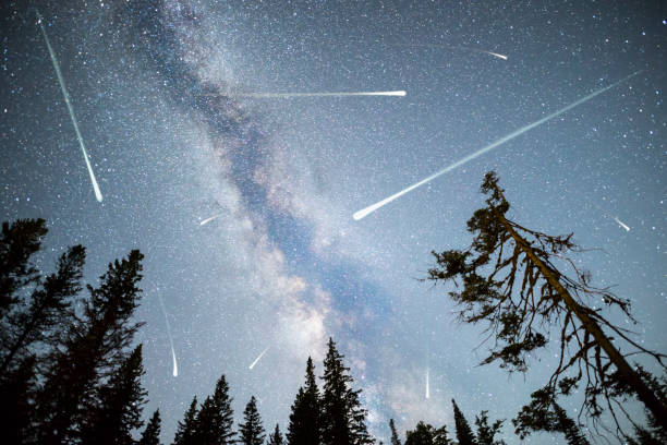 istock Pine trees silhouette Milky Way falling stars 825473190