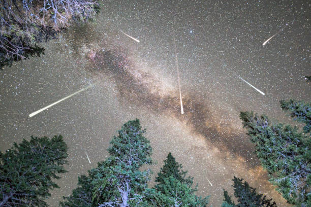 istock Pine trees silhouette Milky Way meteor shower 825473258