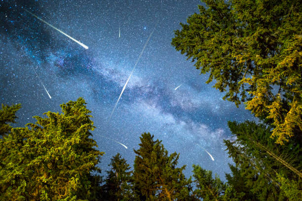 istock Pine trees silhouette Milky Way meteor shower 825473320