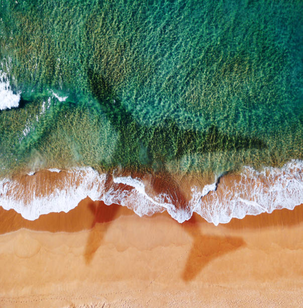 airplane over the beach in australia