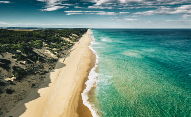vue aérienne de la côte méridionale australienne - port stephens new south wales australia coastline photos et images de collection