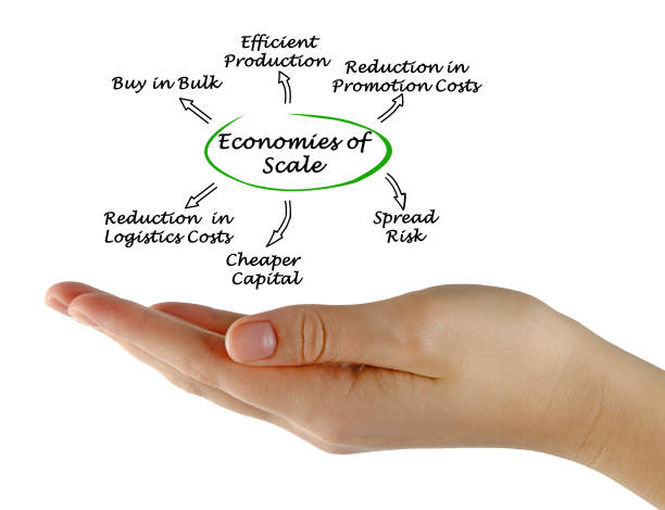 istock Economies of Scale 825474546