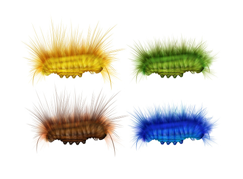 Vector set of different colorful green, yellow, brown, blue furry caterpillars side view isolated on white background