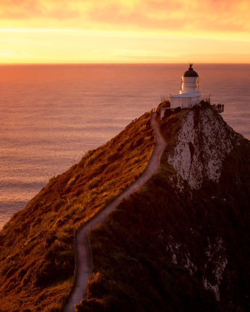 istock Golden morning light at Nugget Point lighthouse 825482236