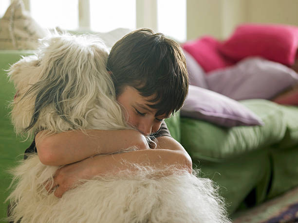 мальчик фигуру его собака - животное поведение стоковые фото и изображения