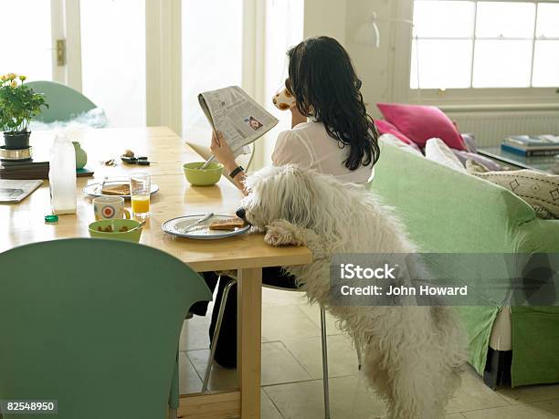 Dog Stealing Womans Toast Stock Photo - Download Image Now - Dog, Newspaper, Stealing - Crime