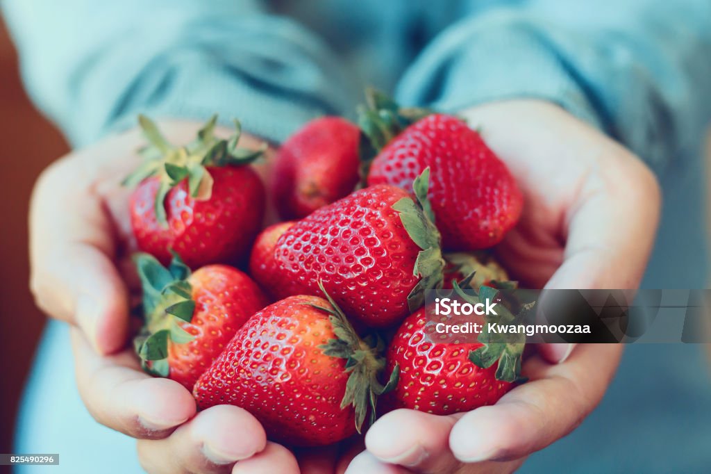 halten Sie frische Erdbeeren - Lizenzfrei Erdbeere Stock-Foto