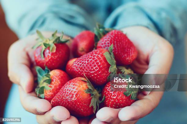Halten Sie Frische Erdbeeren Stockfoto und mehr Bilder von Erdbeere - Erdbeere, Obst, Pflücken