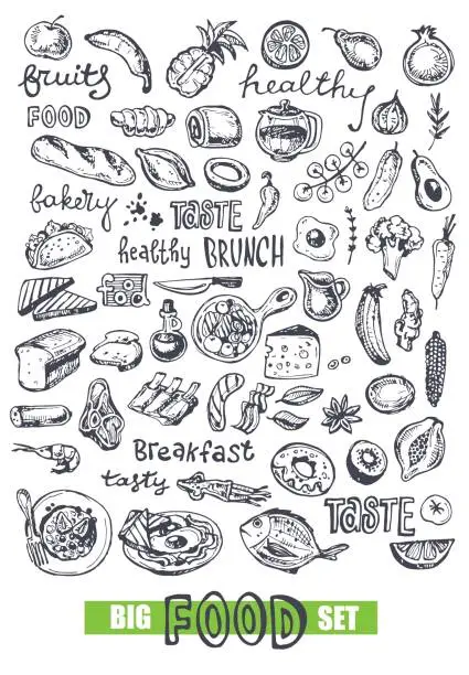 Vector illustration of Hand drawn doodle food illustration. Healthy food