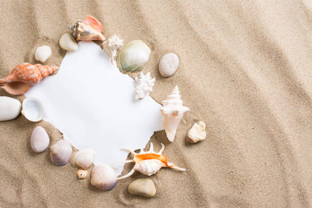 istock Message in torn paper on the beach. Summer background with hot sand 825506354