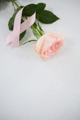 High angle view of pink Breast Cancer ribbon and rose on white background