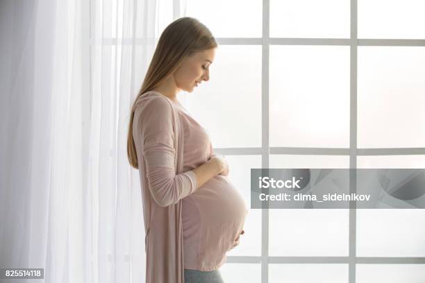 Mujer Joven Preganant Esperando A Un Padre Feliz Bebé Foto de stock y más banco de imágenes de Embarazada