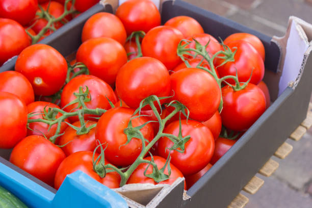 istock selling tomatoes on street market 825514926