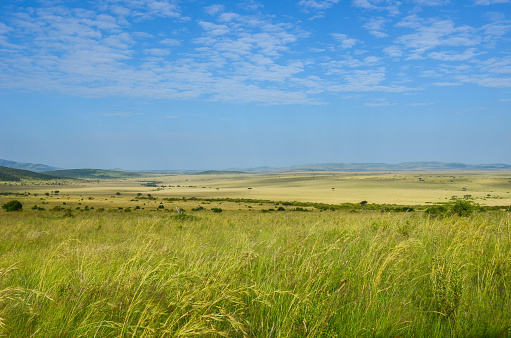 Scenic view of semi arid landscape with hills and meadow against blue sky on sunny day