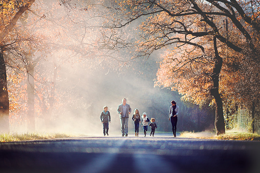 A family with four children running on a wet road under autumn trees with fog coming up from the road and sunbeams in Jonkershoek Stellenbosch Cape Town Western Cape South Africa