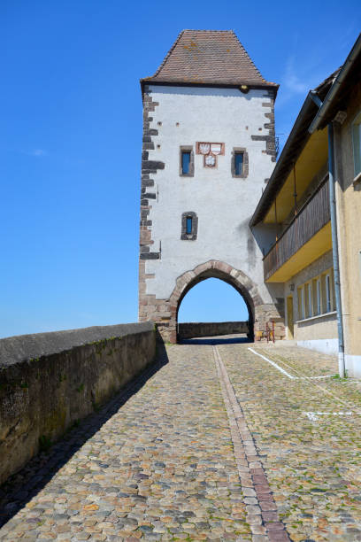 istock Breisach by the Rhine River in Baden-Wurttemberg, Germany 825525992