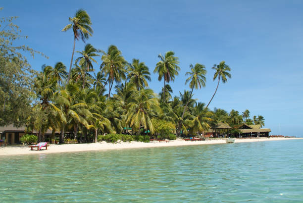 istock Fiji Island, Malolo Lailai 825534240