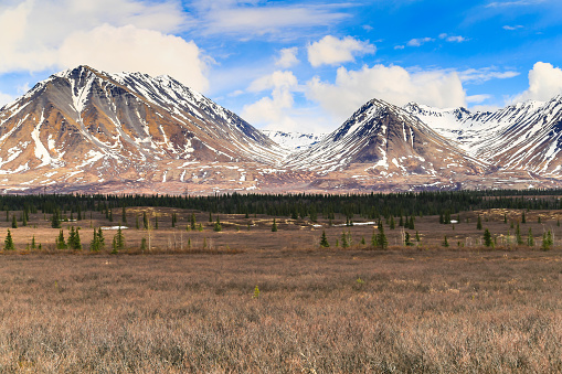 Picture was taken at Potter’s Marsh near Anchorage, Alaska. This is a wetland for birds.  Many come and enjoy looking for various birds, animals, and foliage. View from a drone flying above the area.