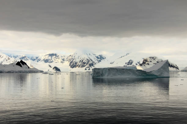 istock Antarctica landscape, icebergs, mountains and ocean at sunrise 825537706