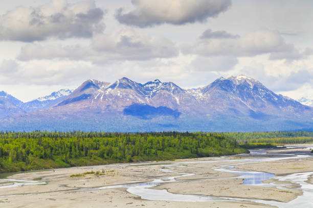 istock Peaks of Denali National Park 825537758