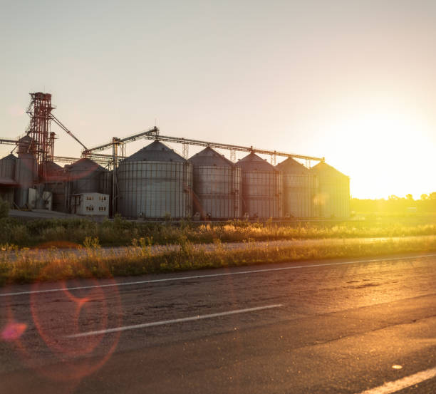istock Industry background of harvest elevator at summer sunset time 825538040
