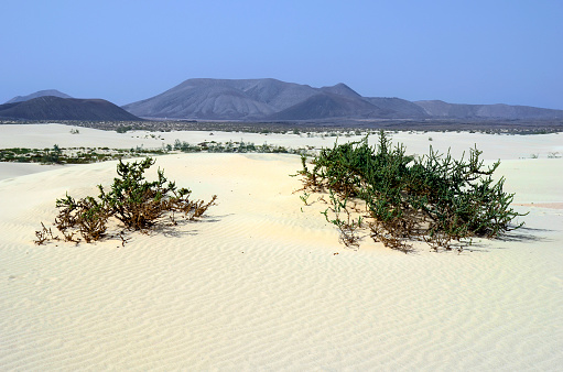 Barren landscape of the Western Sahara Desert, Morocco.