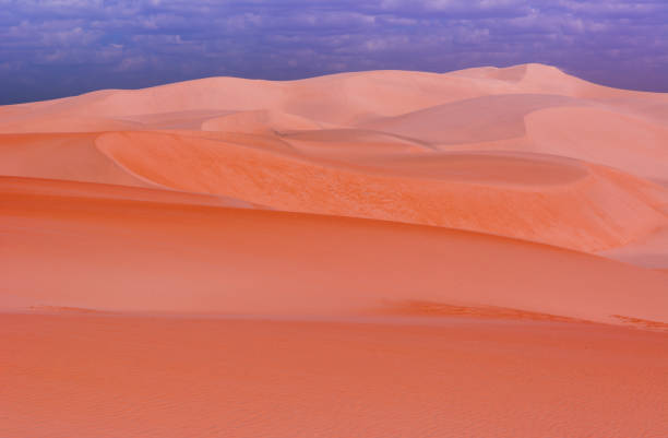 istock Dunas do rosado, Rio Grande do Norte 825546316