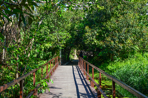 Coco Park in Fortaleza, Ceara State, Brazil. The biggest urban park in Latin America