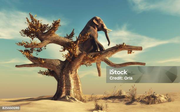 Foto de Elefante Em Uma Árvore Seca Na Paisagem Surreal e mais fotos de stock de Elefante - Elefante, Fantasia - Conceito, Surrealismo