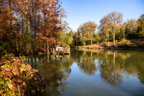 istock Beautiful botanical garden with lake and trees 825550838