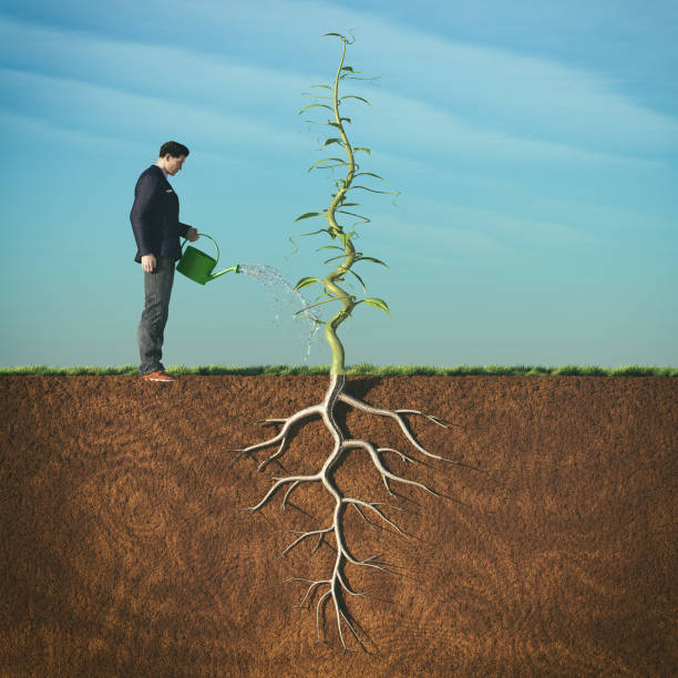 istock Man watering with sprinkler a beanstalk 825550890