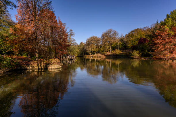 istock Beautiful botanical garden with lake and trees 825551478