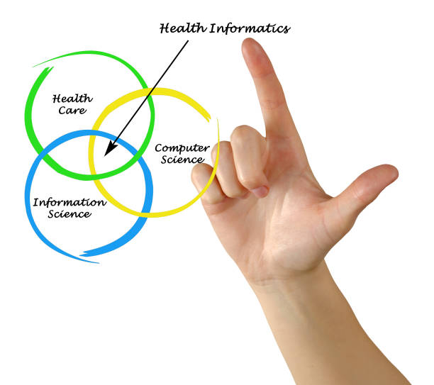 istock Diagram of health informatics 825551940