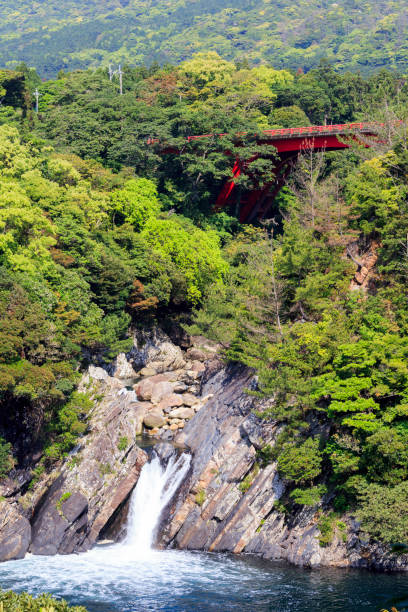 istock Toroki water fall in Yakushima Island, Japan 825554398