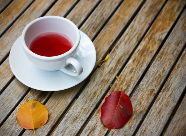 istock Cozy garden still life. Flat laying. 825562026