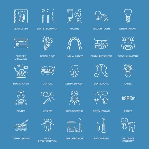 ilustrações de stock, clip art, desenhos animados e ícones de dentist, orthodontics line icons. dental care equipment, braces, tooth prosthesis, veneers, floss, caries treatment and other medical elements. health care thin linear signs for dentistry clinic - dentist child dentist office human teeth