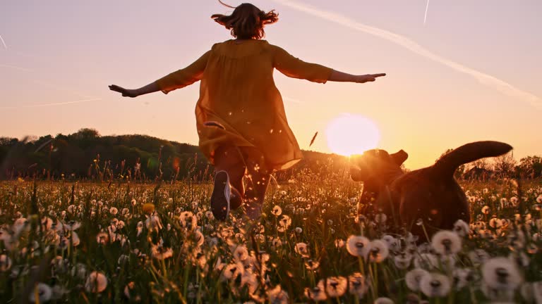 SLO MO Woman running with her dog across a meadow at sunset