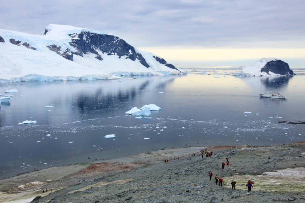 istock Group of hikers with gentoo penguins around, Antarctic Peninsula 825566216