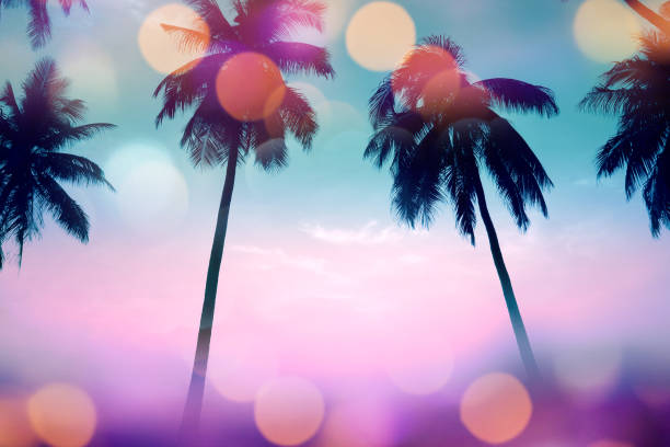 istock Summer Palm Tree Silhouette in Colorful Light, Retro Filter color 825566330