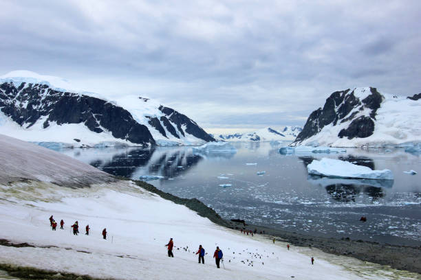 istock Group of hikers with gentoo penguins around, Antarctic Peninsula 825566432