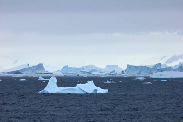 istock Antarctic landscape, icebergs, mountains and ocean, Antarctic Peninsula 825569318