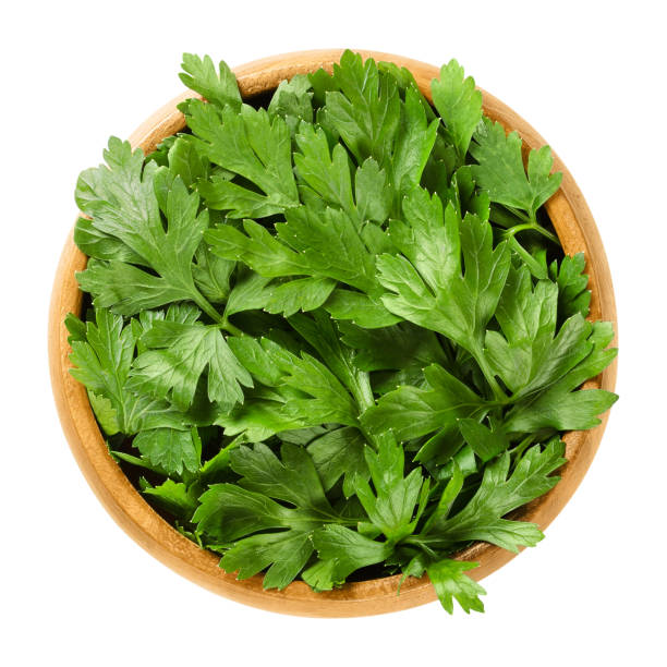 istock Fresh flat leaf parsley in wooden bowl over white 825570058
