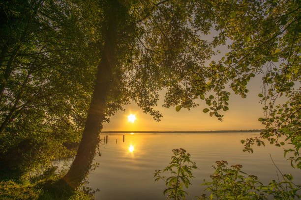 istock Trees at sunrise on a small lake 825572558