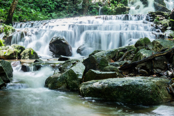 istock Sightseeing waterfall in the forest, north of Thailand 825572882