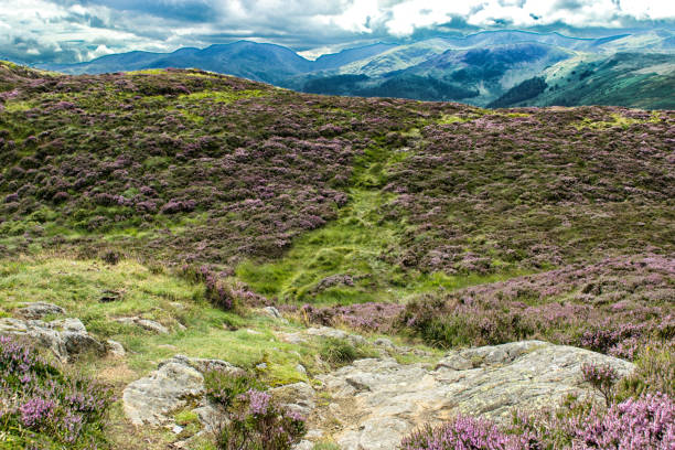 istock View of Ullswater in Cumbria. 825573984